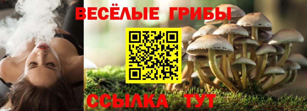 Боровичи  наркошоп  Псилоцибиновые грибы MAGIC MUSHROOMS  Вход с VPN  Псилоцибиновые грибы MAGIC MUSHROOMS 